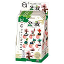 [Single Pack] Nanoblock Bonsai Tree Mininano Series - Blind Bag
