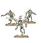 Warhammer Age of Sigmar: Spearhead: Charnel Watch