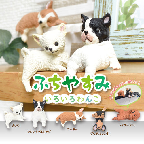 Fuchiyasumi Wanko - Blind Box