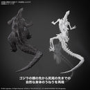 Godzilla 2024 from Godzilla x Kong: The New Empire