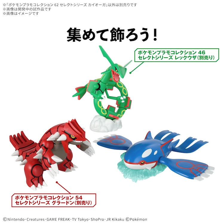 [New! Pre-Order] Pokemon Model Kit 62 - Kyogre