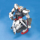 MG Strike Gundam + I.W.S.P. 1/100