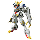 HG IBO